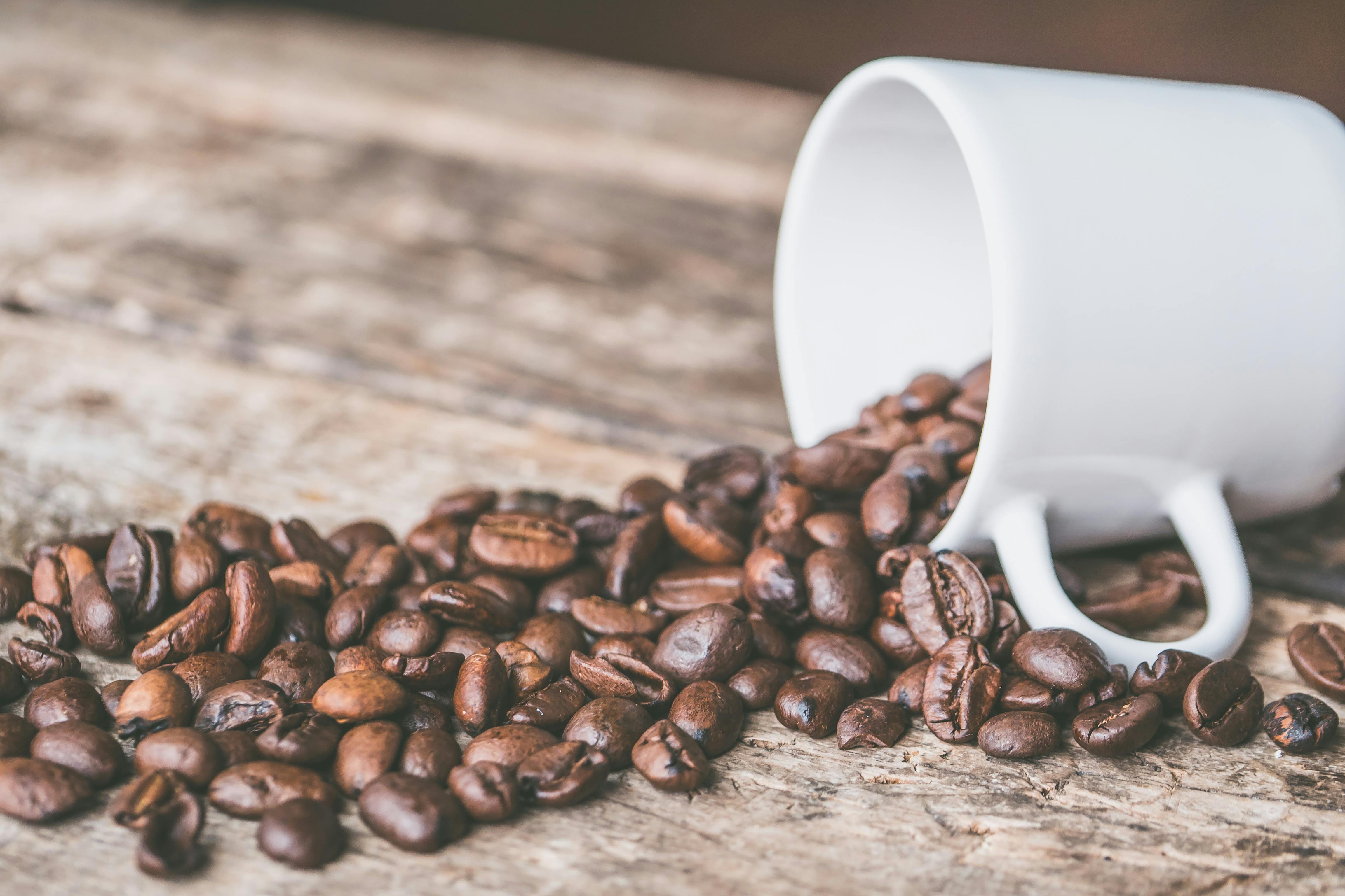 Café : Une Boisson Richesse en Histoire et en Saveurs